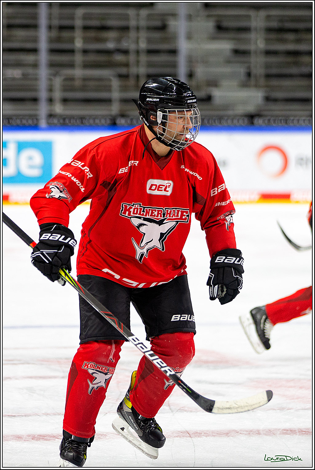 PENNY DEL; Koelner Haie- Red BUll Muenchen Sponsorenspiel; Koeln, 08.11.2022